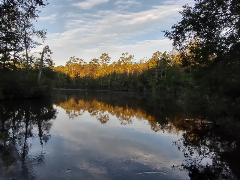 Wooded creek banks reflected in the water at Chickasabogue Park; scenery, not a verified swimming entrance