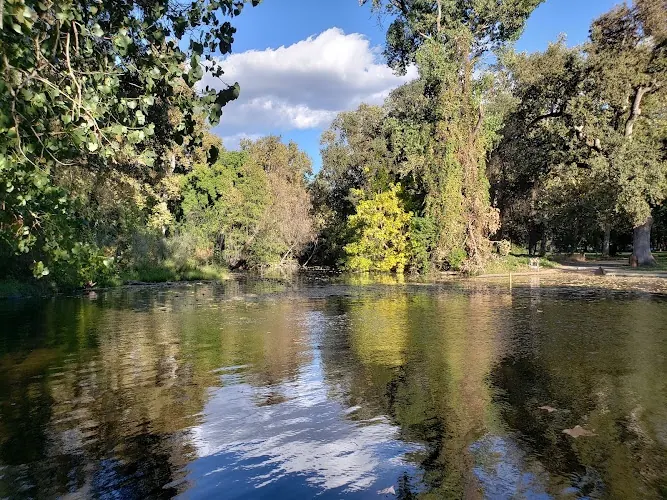 Water and tree-lined park banks in the Sycamore Pool collection at One Mile Recreation Area