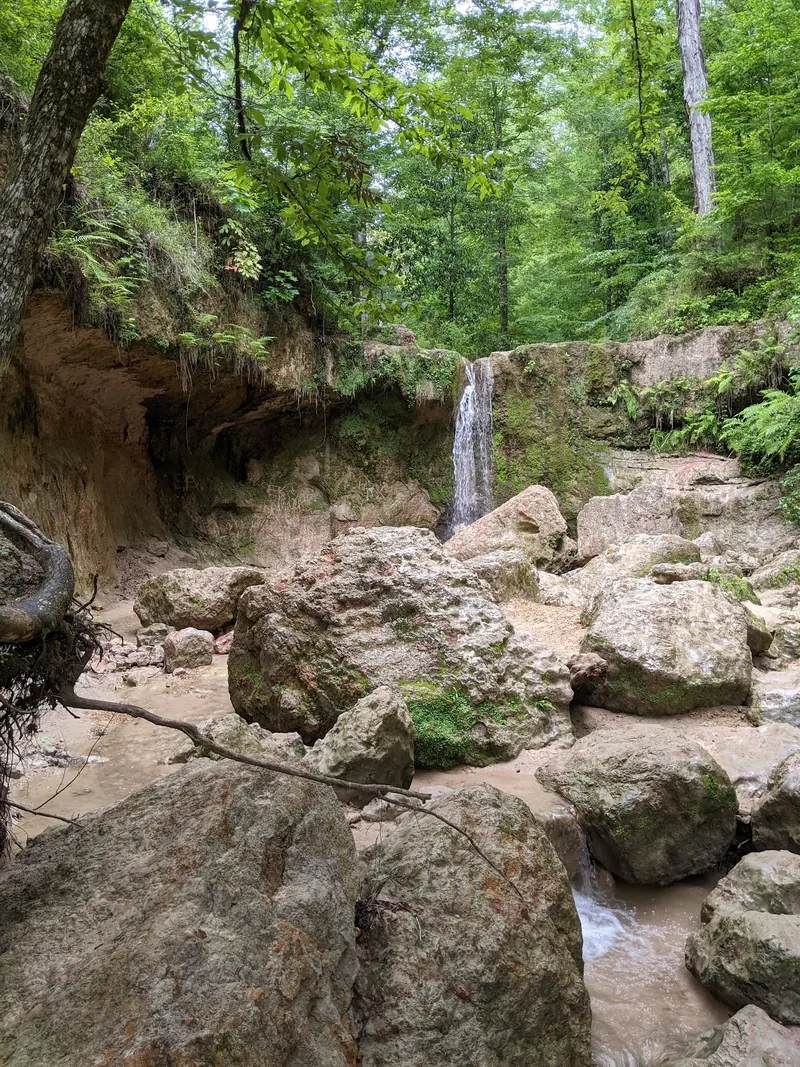 Small waterfall framed by rock blocks and leafy ravine walls at Clark Creek Natural Area