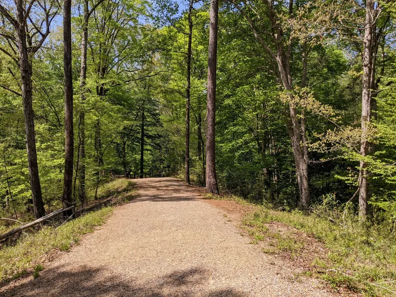 Wide wooded foot trail at Clark Creek Natural Area