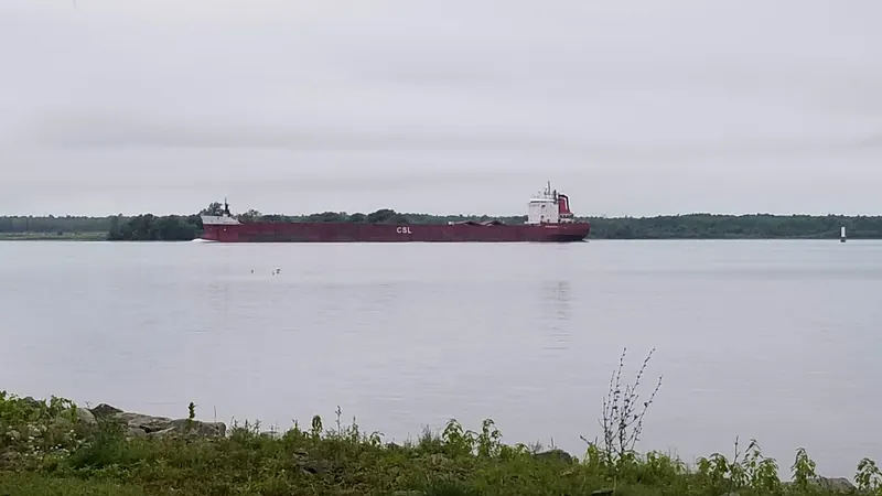Freighter passing the grassy and rocky St. Lawrence shoreline at Coles Creek State Park
