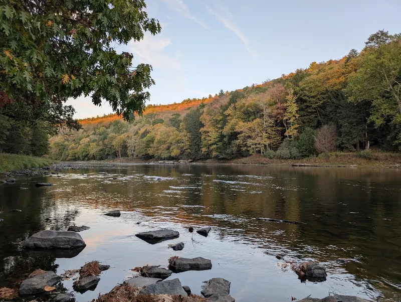 Rocky river and autumn trees at Cook Forest State Park; river context, not a verified swimming entry