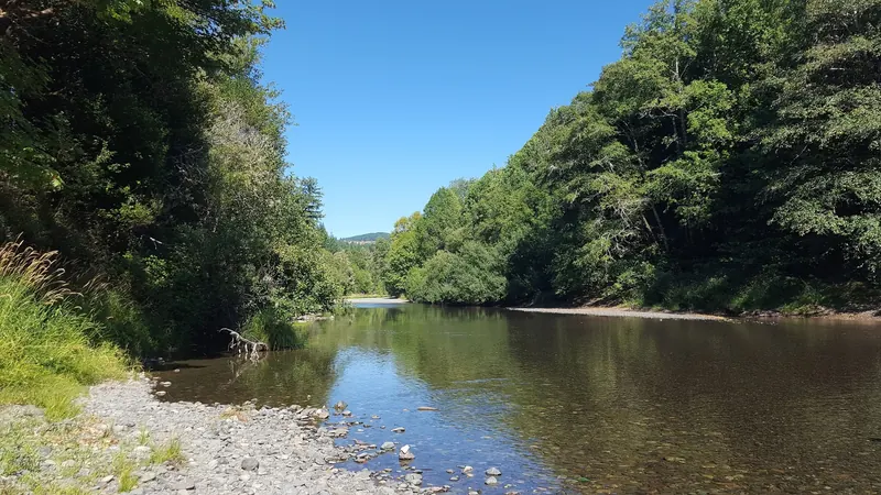 River and gravel shoreline at Coquille Myrtle Grove State Natural Site