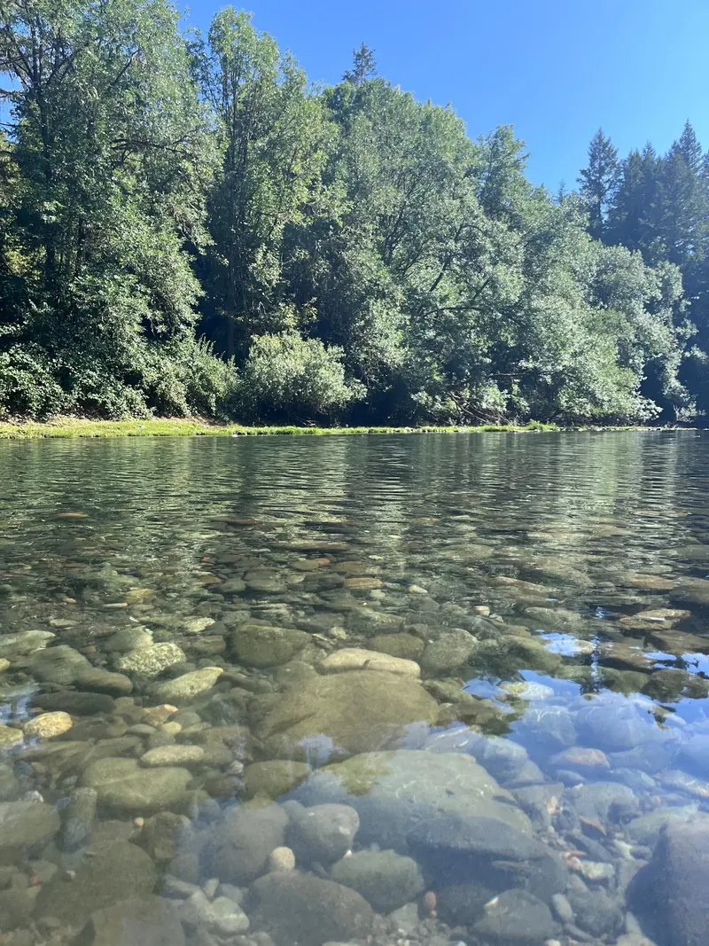 Rounded stones visible beneath river water in the Coquille Myrtle Grove collection; historical scenery, not current depth or water-quality evidence