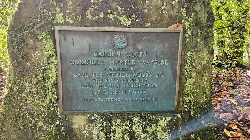 Coquille Myrtle Wayside conservation plaque mounted on a mossy stone