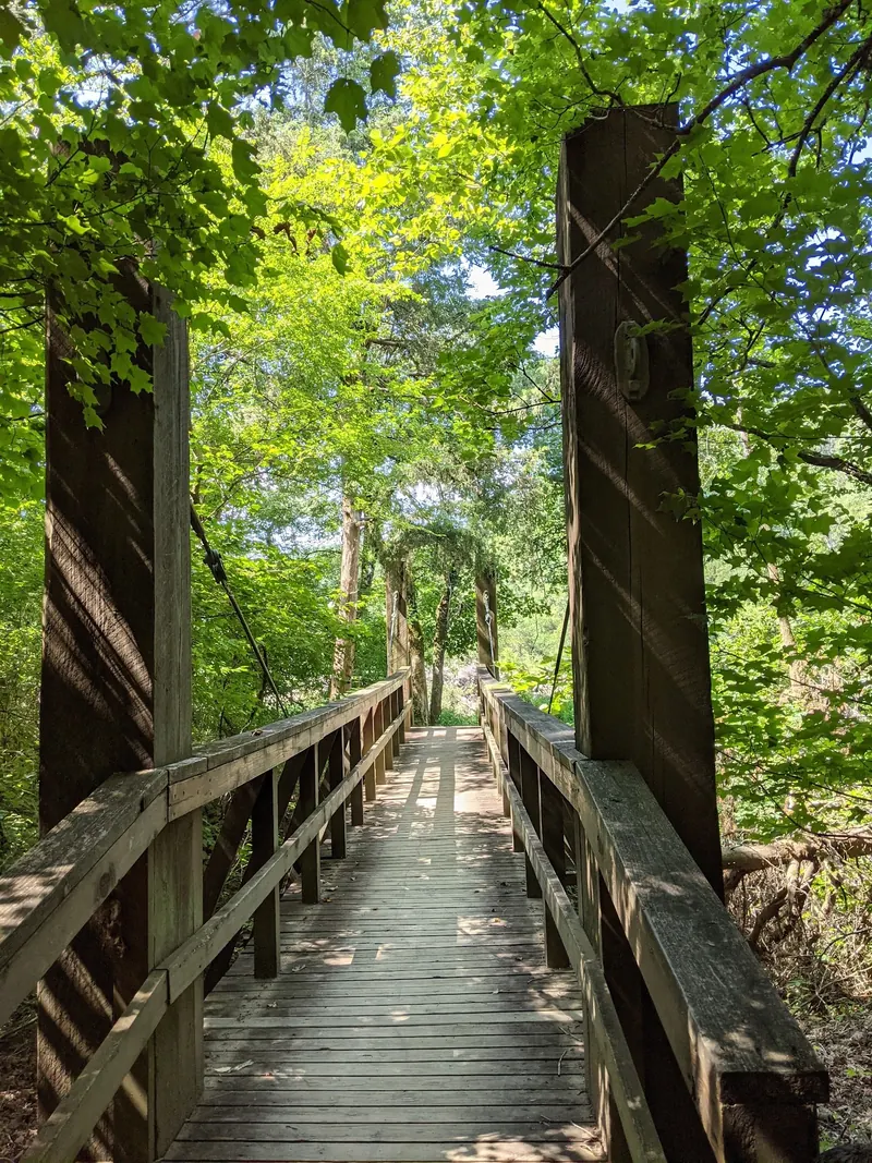 Wooden pedestrian bridge in Cossatot River State Park; trail context