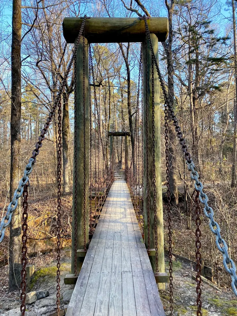 Wooden suspension footbridge through the forest at Crowley's Ridge State Park