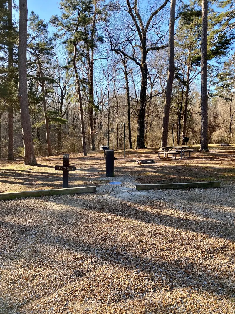 Tent campsite with picnic table and grill among trees at Crowley's Ridge State Park