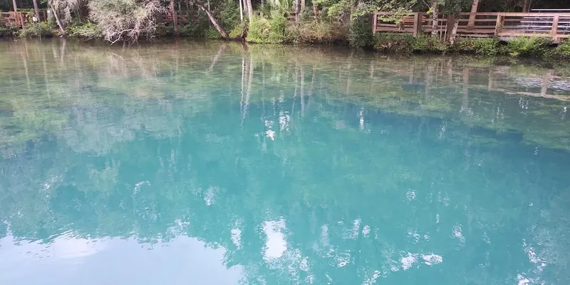 Blue-green spring water below a wooded boardwalk in the Crystal River regional photo collection