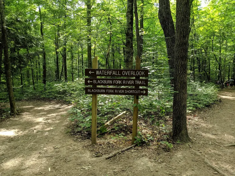 Woodland trail signs for the waterfall overlook and Blackburn Fork River routes at Cummins Falls