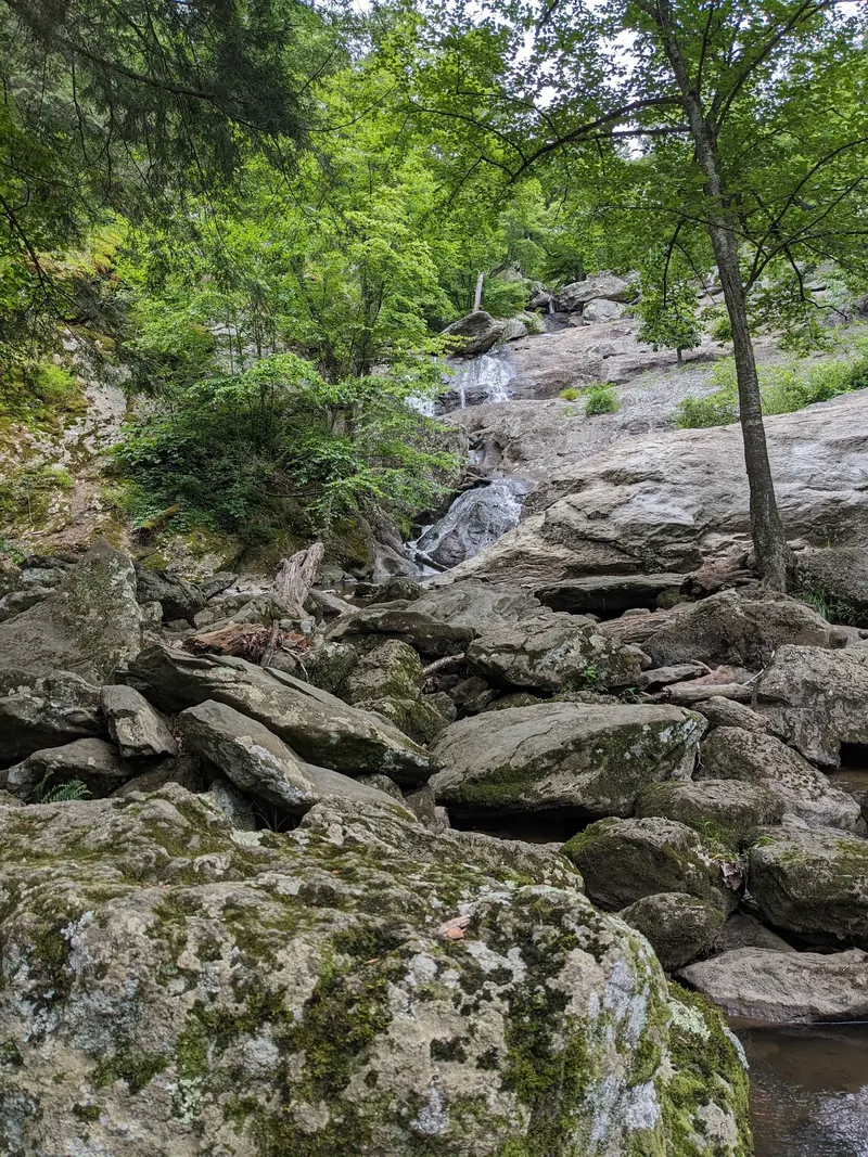 Cunningham Falls cascading over rock shelves; swimming at the waterfall is prohibited