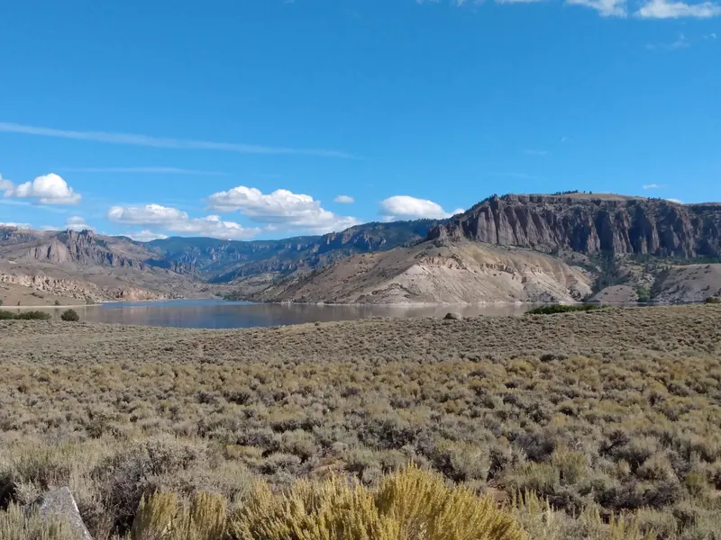 Sagebrush foreground and broad mesa cliffs beside Blue Mesa Reservoir