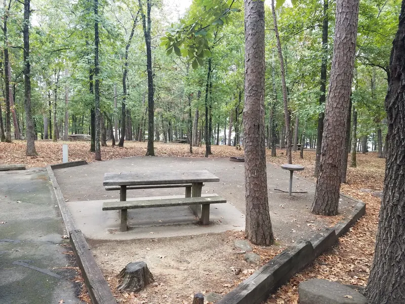 Wooded campsite with a picnic table and fire ring at Dam Site Recreation Area