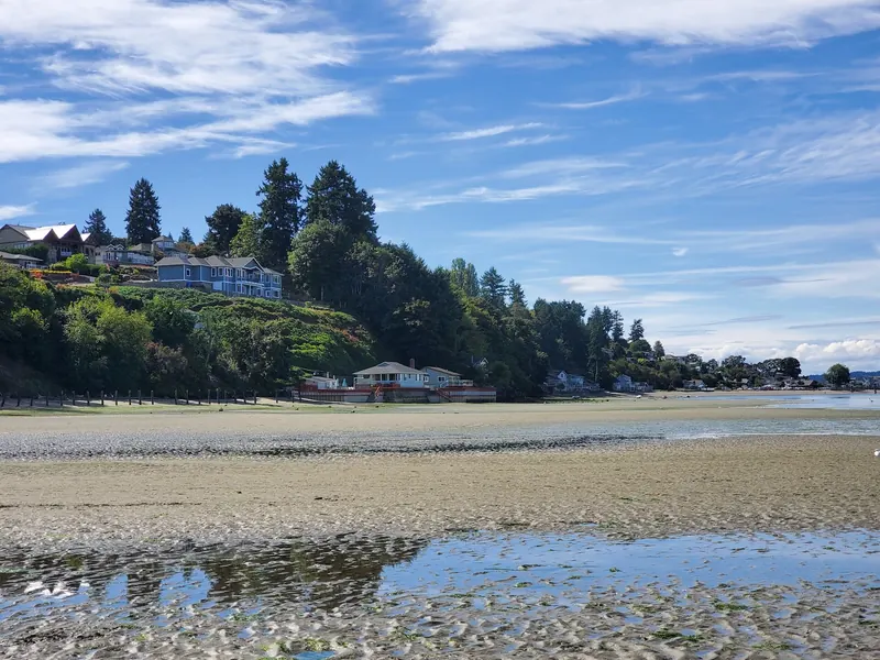 Exposed tidal flats at Dash Point Beach with hillside homes beyond the shoreline