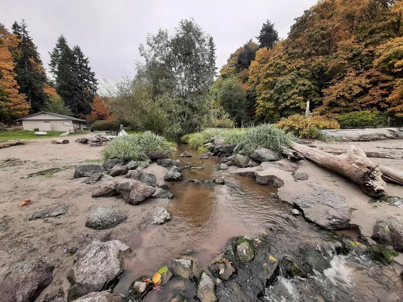 Creek outlet, driftwood and beach facilities at Dash Point State Park in autumn