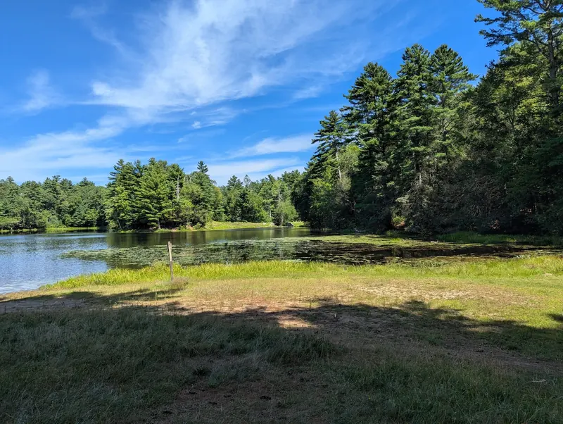 Saved view of Dean Pond and its grassy shoreline in Brimfield State Forest, not evidence of an open swimming beach