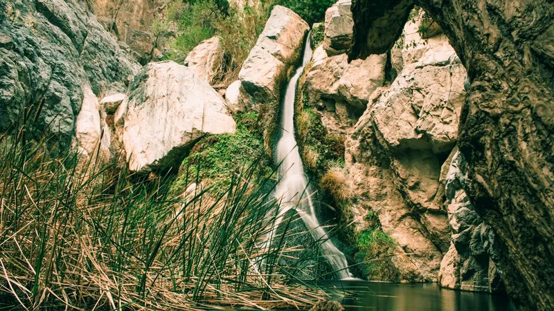 Darwin Falls splitting around dark rock into a pool surrounded by green plants in Death Valley