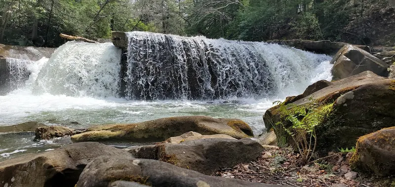 Water cascading over a broad rock ledge in the Deckers Creek corridor, not a marked swimming entry