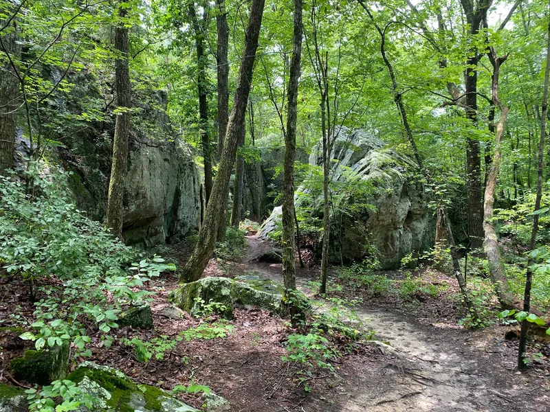 Narrow dirt trail winding between large boulders and trees in the DeSoto park collection