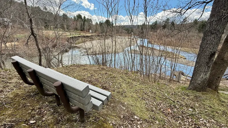 Park bench overlooking the Dog River through bare riverside trees