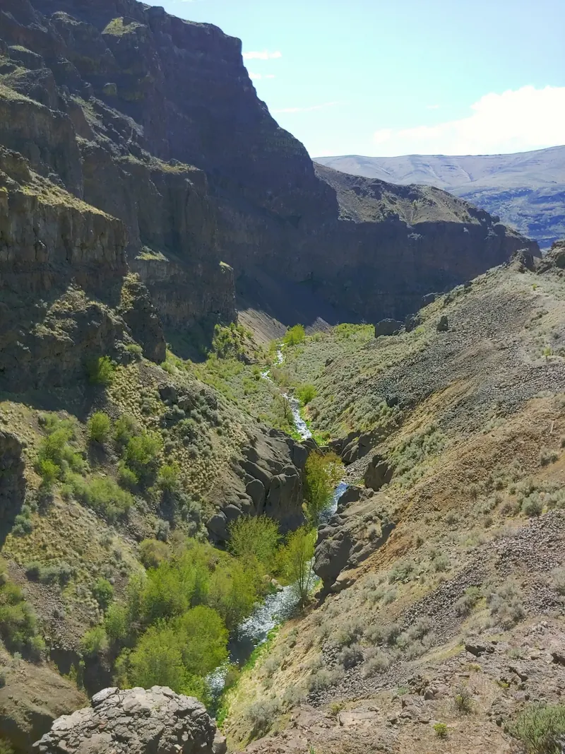 Elevated view of the winding Douglas Creek corridor between steep rocky slopes