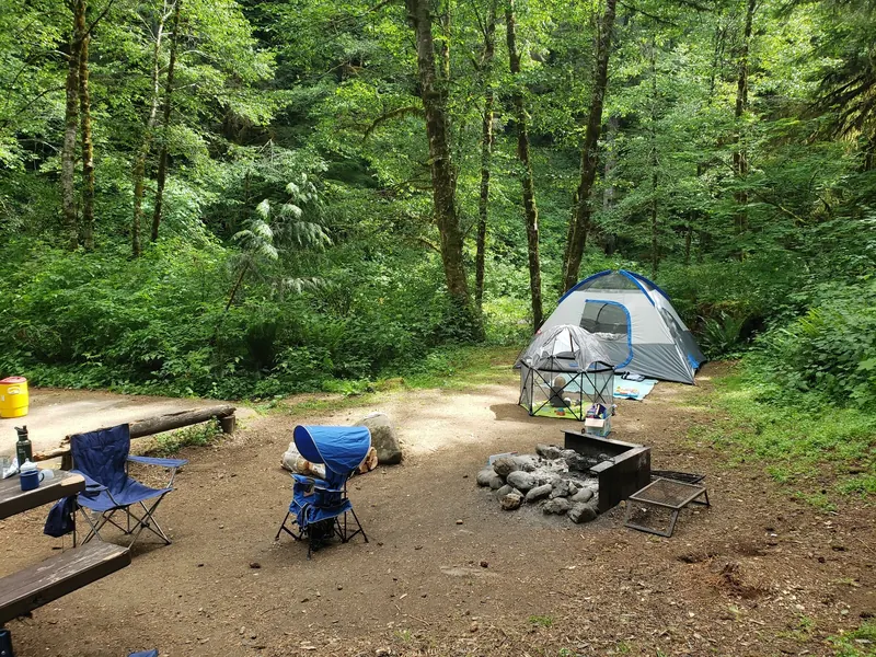 Tent, chairs and a metal fire ring in a wooded campsite from the Dovre collection; historical camping setup