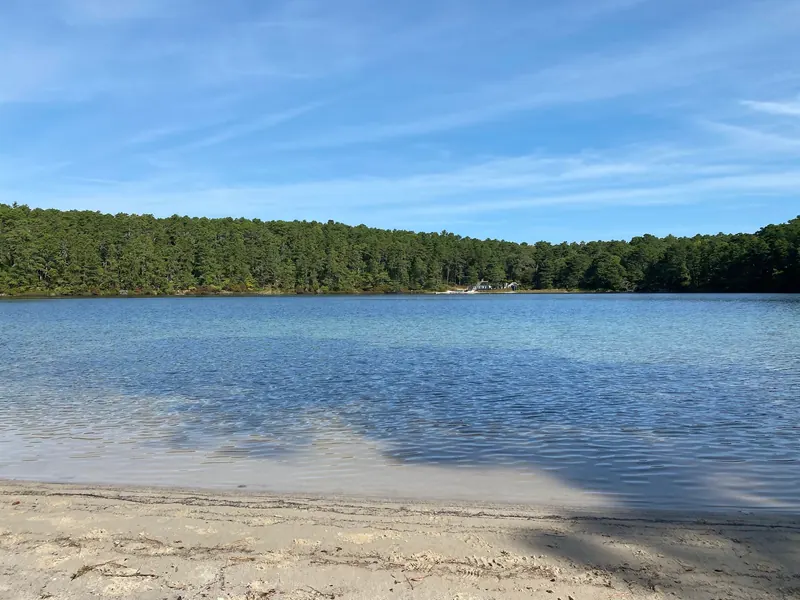 Historical Duck Pond shoreline and wooded opposite bank in Wellfleet, not current water-quality evidence
