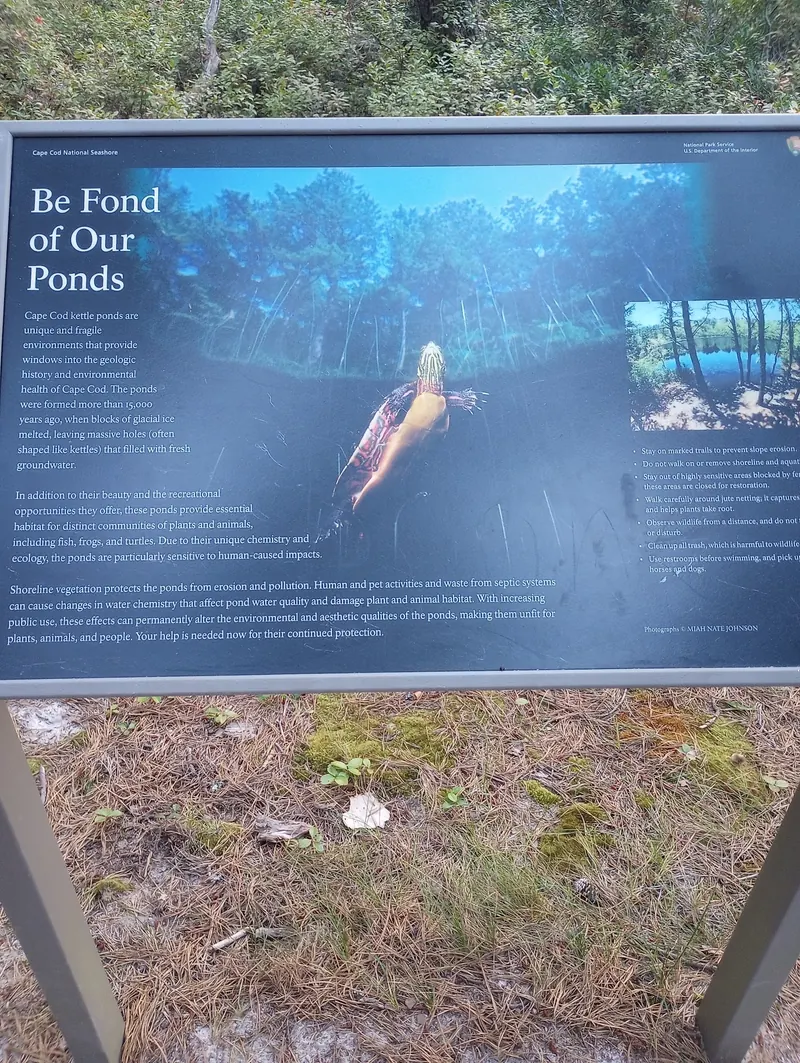 Cape Cod National Seashore pond-conservation sign in the saved Duck Pond photo collection