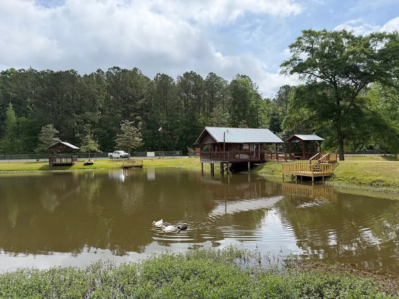 Historical pond-side buildings, wooden platforms and ducks at Dunn's Falls Water Park; mill pond scenery, not a marked swimming area or verified accessible route
