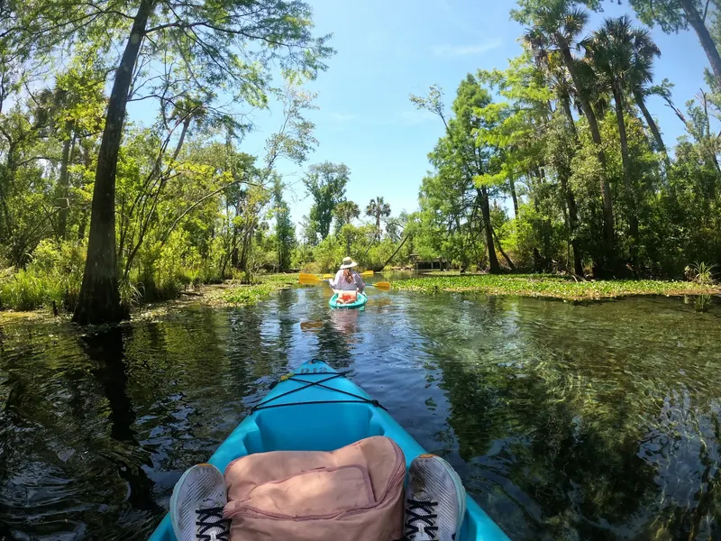 Kayak view along Econfina Creek with a paddler facing away among trees and aquatic plants