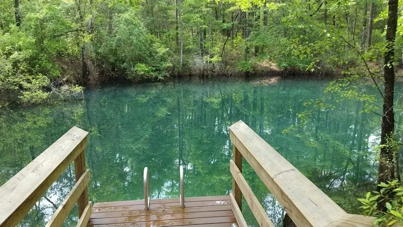 Wooden platform and metal handrails beside a wooded spring in the Econfina Creek photo collection; exact spring not independently verified