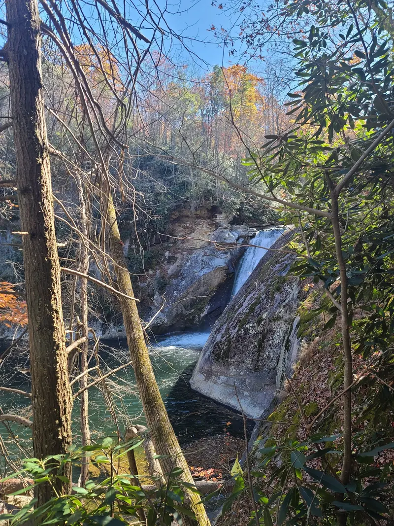 Elk River Falls viewed through trees and rhododendron beside the rock gorge