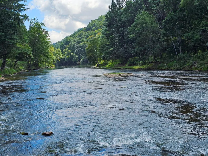 South Fork New River flowing past wooded banks and exposed rocks at Elk Shoals