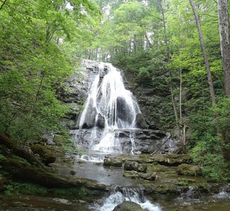 A waterfall tier and rocky creek surrounded by woodland at Elrod Falls