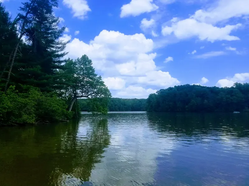 Wooded shoreline beside Fairy Stone Lake, a scenic lake view rather than an identified swimming entry
