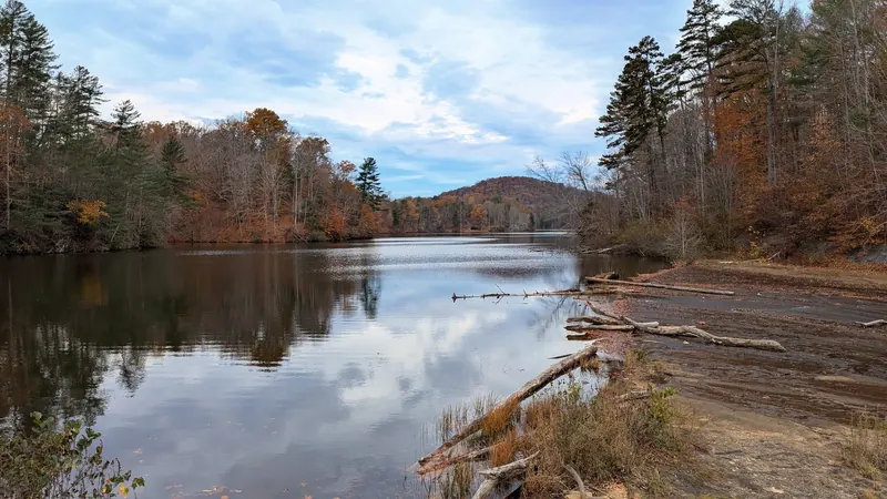 Autumn trees and fallen logs along Fairy Stone Lake; swimming is restricted to the designated beach