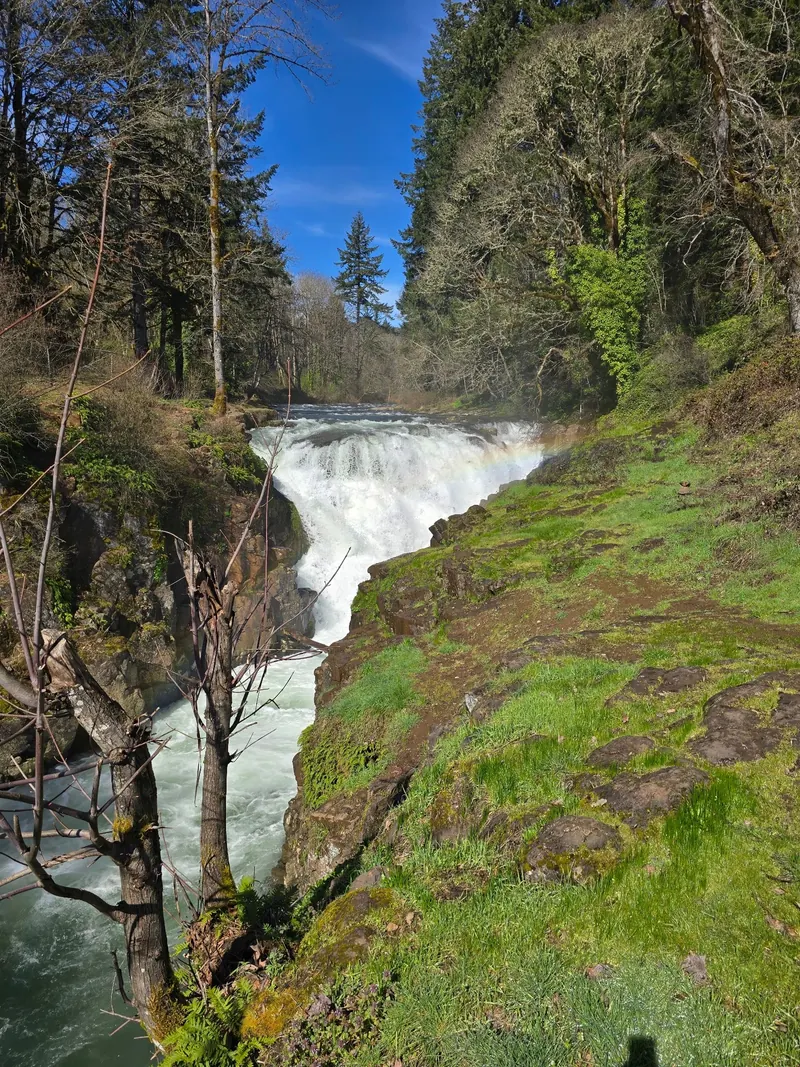 Historical high-flow Falls City Falls with wooded banks and a faint rainbow