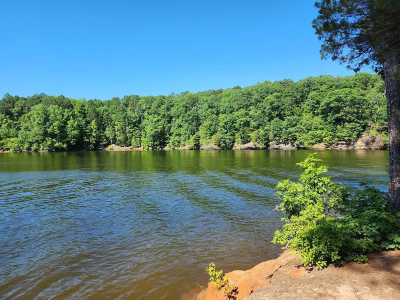 Wooded shoreline across Falls Lake, a general lake view rather than an identified swim beach