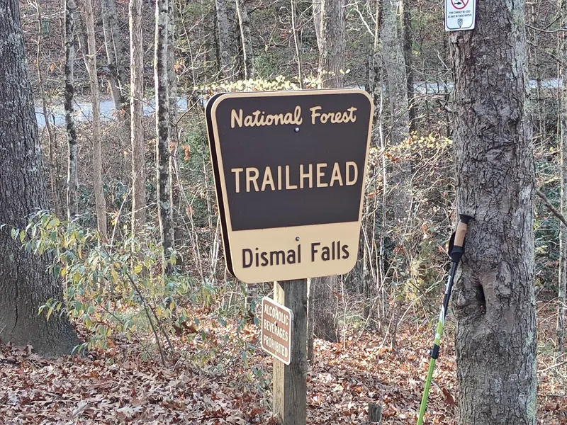 Historical National Forest Dismal Falls trailhead sign with an alcoholic-beverages prohibition notice; follow current posted rules