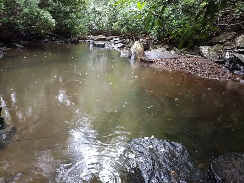 Historical creek pool, leaf-covered bank and rocks in the Dismal Falls photo collection; exact camera location not independently verified