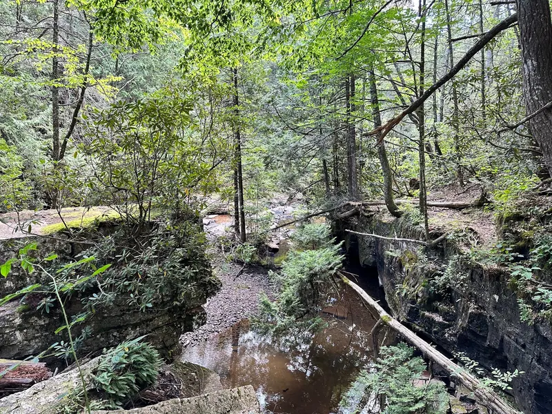 Historical narrow wooded creek channel and layered rock beside Dismal Falls; not a verified water-entry route