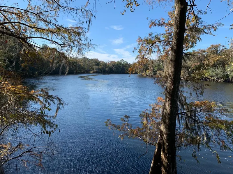 Broad river water framed by autumn trees in the Fanning Springs collection; river scenery, not the designated spring swimming pool
