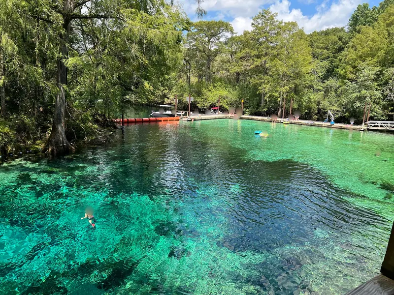 Turquoise spring pool beside the wooden swimming deck at Fanning Springs State Park