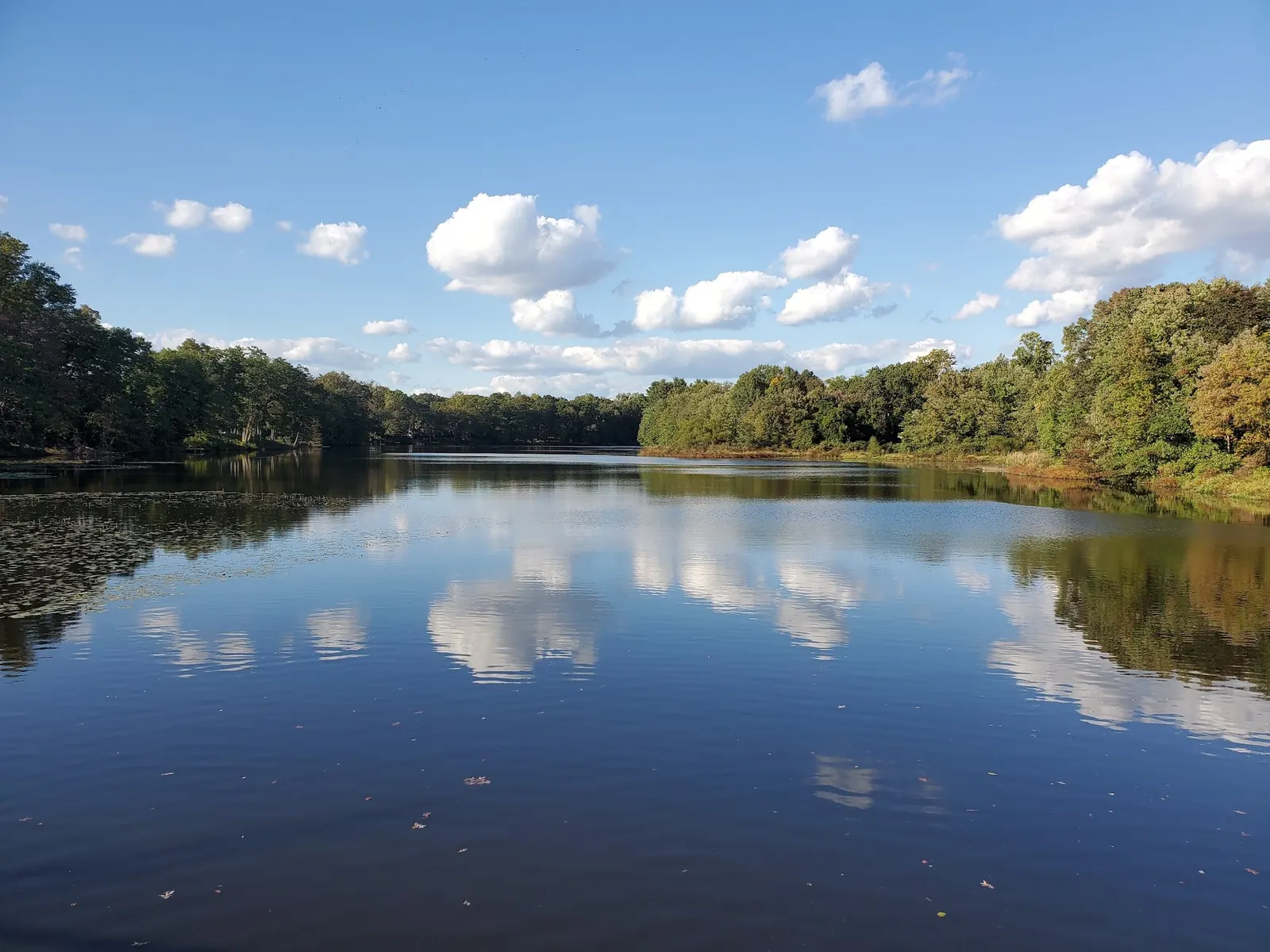 Clouds and wooded shoreline reflected in Farrington Lake