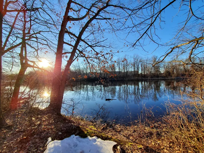 Bare winter trees and a snowy bank beside Farrington Lake at sunset