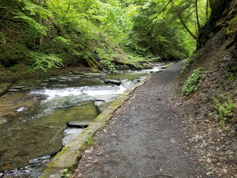 Wooded gorge trail beside a rocky creek at Fillmore Glen State Park, separate from the designated swimming area