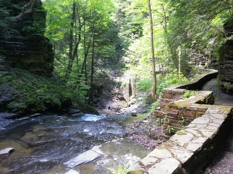 Narrow stone-bordered path beside moving creek water in the Fillmore Glen State Park collection; historical hiking terrain, not an accessible water-entry route