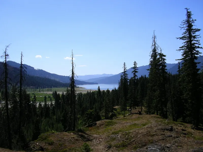 Lake and wooded valley seen through conifers in the wider French Cabin Creek recreation area