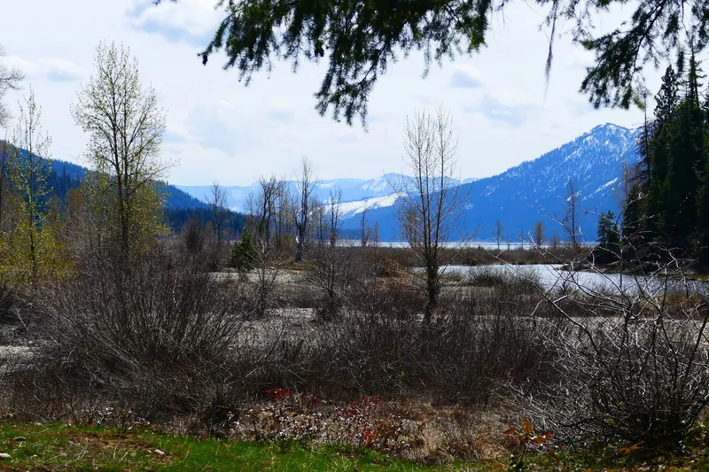 Water and leafless riverside shrubs below snowy mountain slopes in the French Cabin Creek recreation area