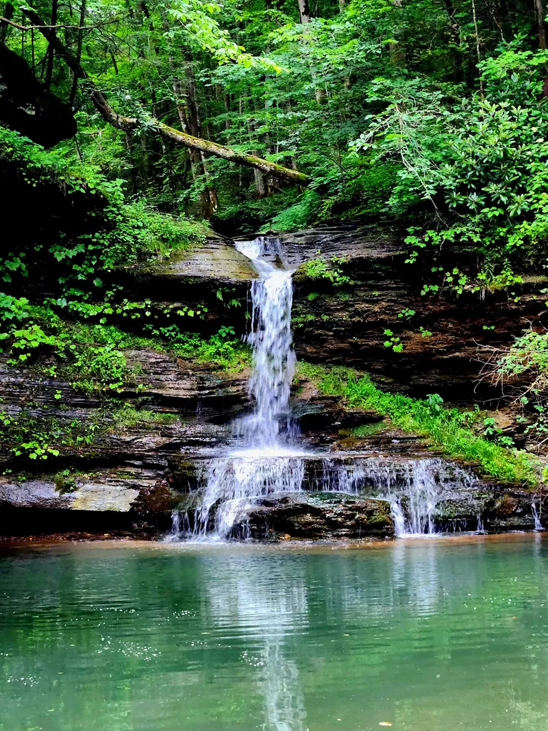 Historical Gabe's Branch Falls view with water descending layered rock into a green pool beneath dense trees